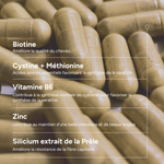 Novophane Gélules