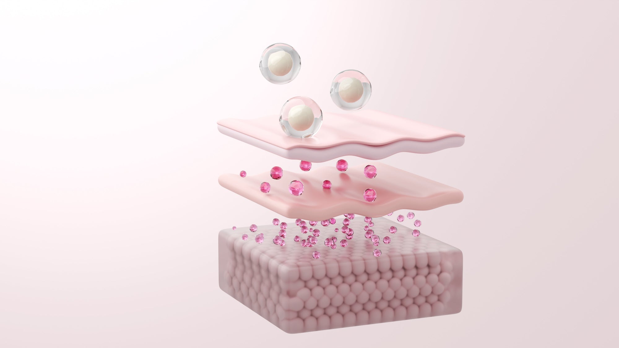 NAD+ et vieillissement cutané : comment cette coenzyme agit sur la longévité de la peau