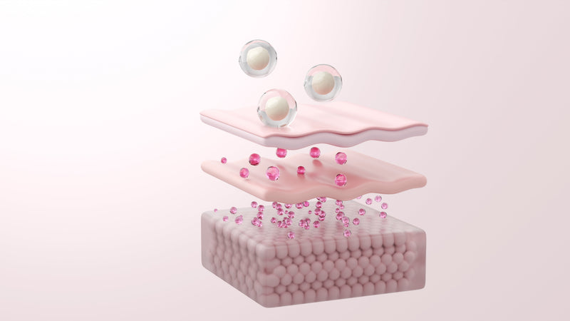 NAD+ et vieillissement cutané : comment cette coenzyme agit sur la longévité de la peau