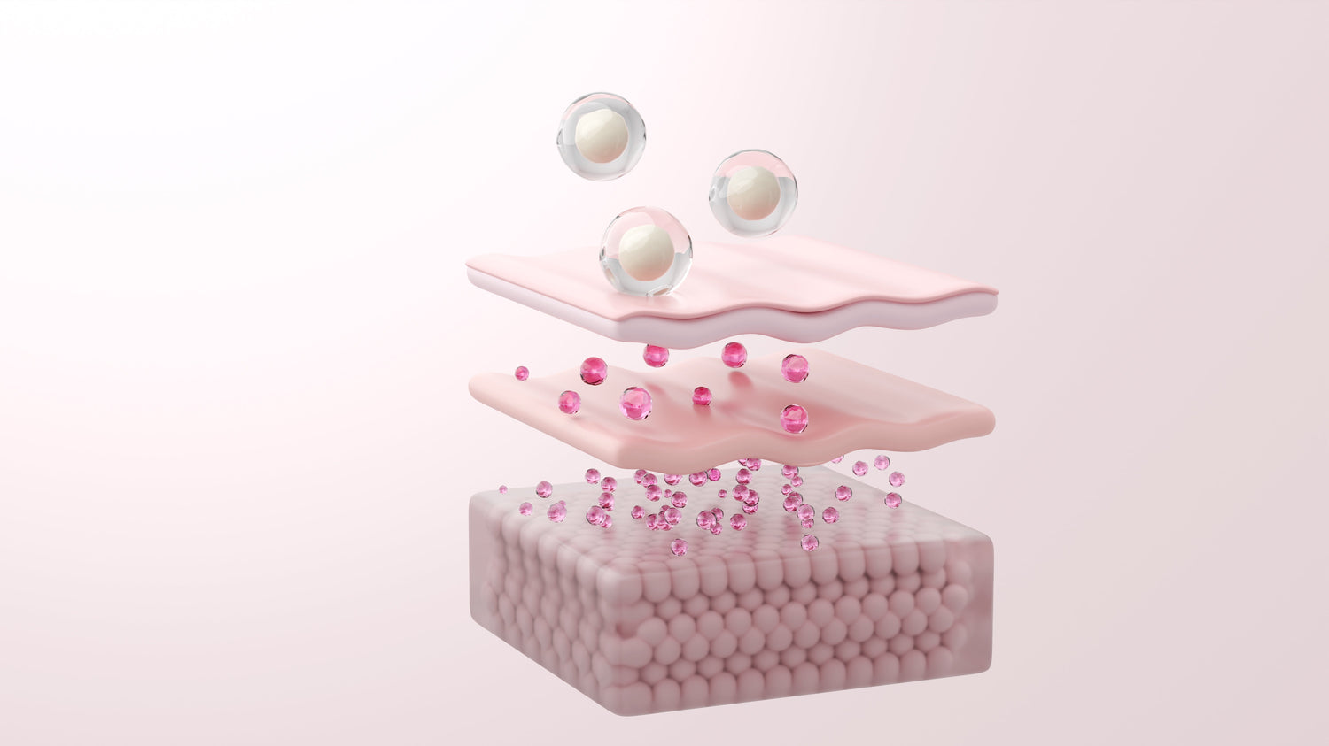 NAD+ et vieillissement cutané : comment cette coenzyme agit sur la longévité de la peau